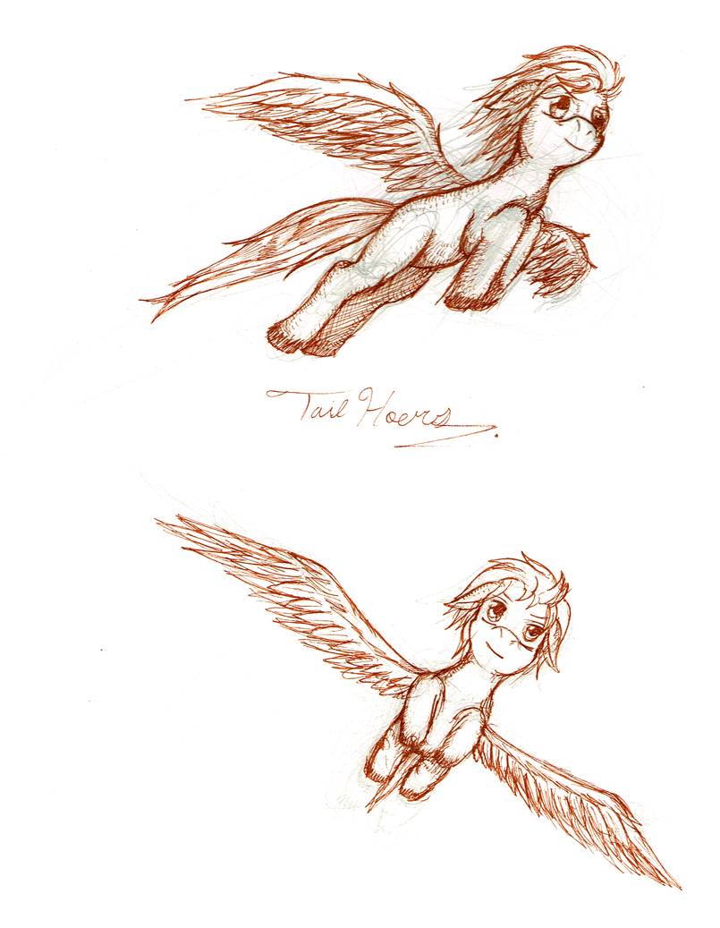 805x1037 Pegasus Jbarkerdesigns