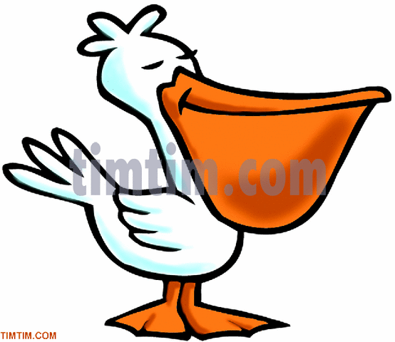 554x480 Free Drawing Of A Pelican From The Category Birds Amp Insects