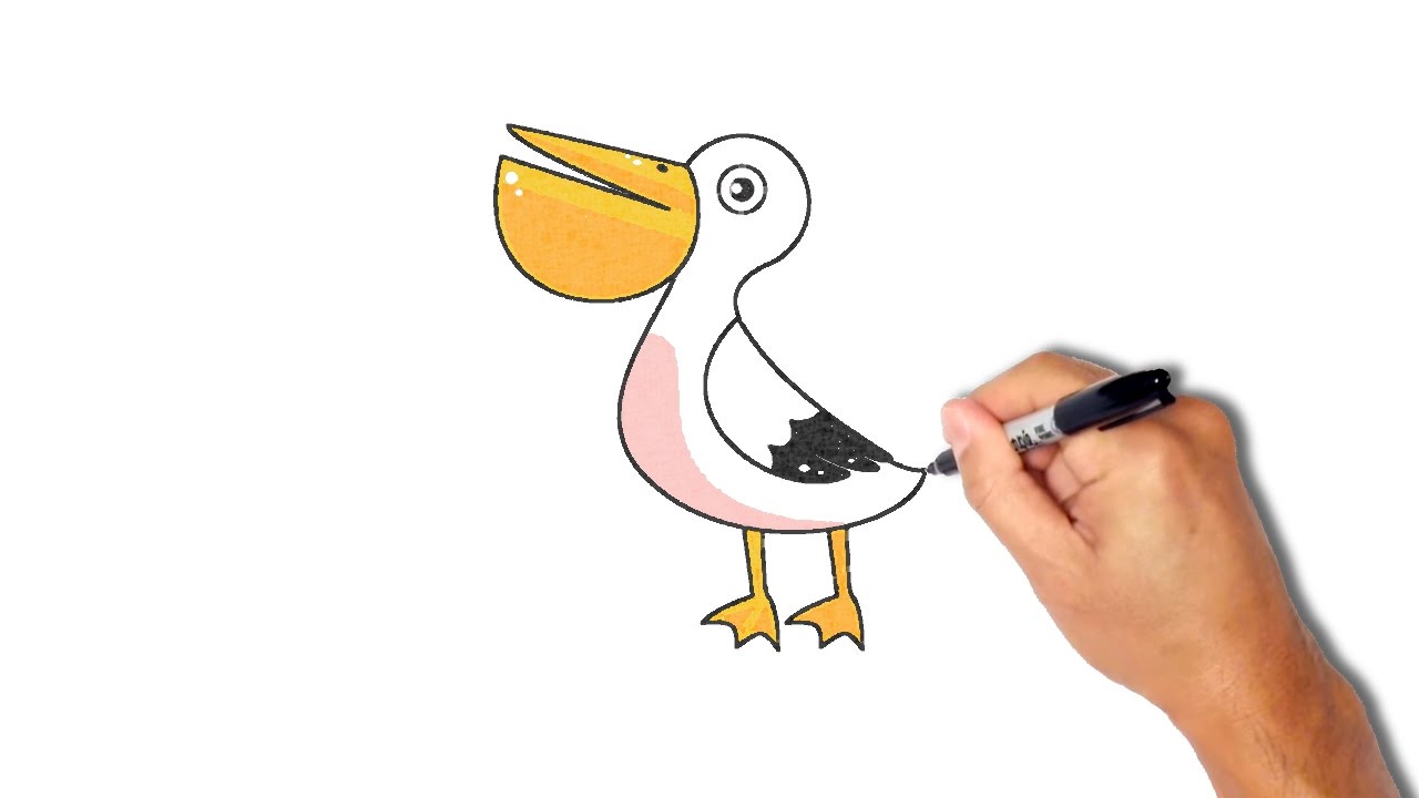 1280x720 How To Draw A Cute Pelican