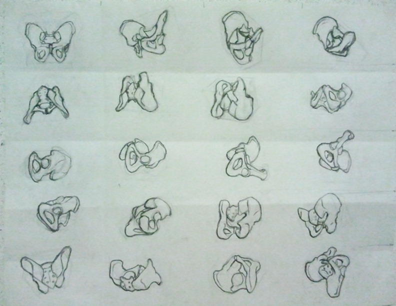 792x612 Life Drawing Pelvis Rotation By Hannalah