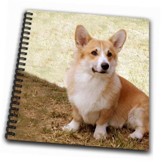 525x525 3drose Db 1065 1 Pembroke Welsh Corgi Drawing Book 8 By 8 Inch Ebay