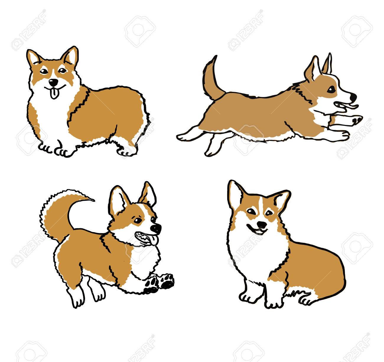 1300x1226 Hand Drawn Welsh Corgi Pembroke Funny Dog On White Ink Drawn
