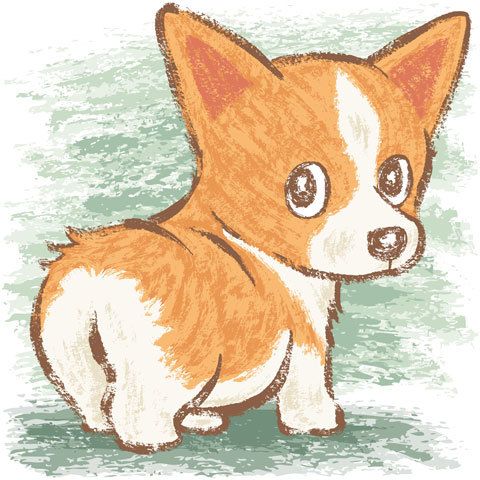 480x480 Look Back On Behance By Toru Sanogawa Drawing