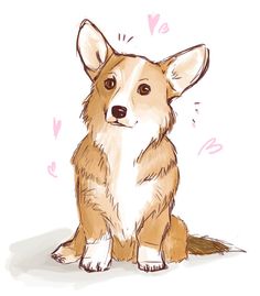 236x269 Pembroke Welsh Corgi