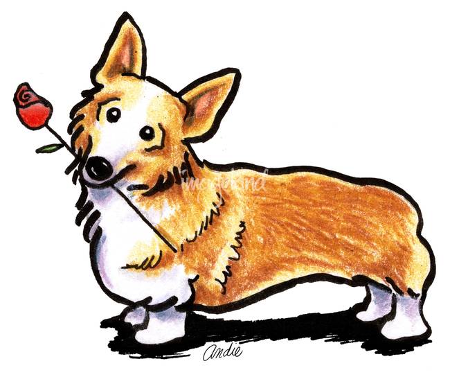 650x544 Corgi Drawing