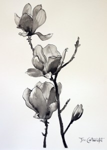 214x300 Pen And Ink Drawing Of Magnolias Pen Amp Ink