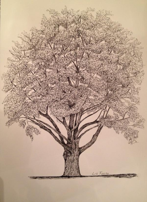 Pen And Ink Tree Drawing at GetDrawings | Free download