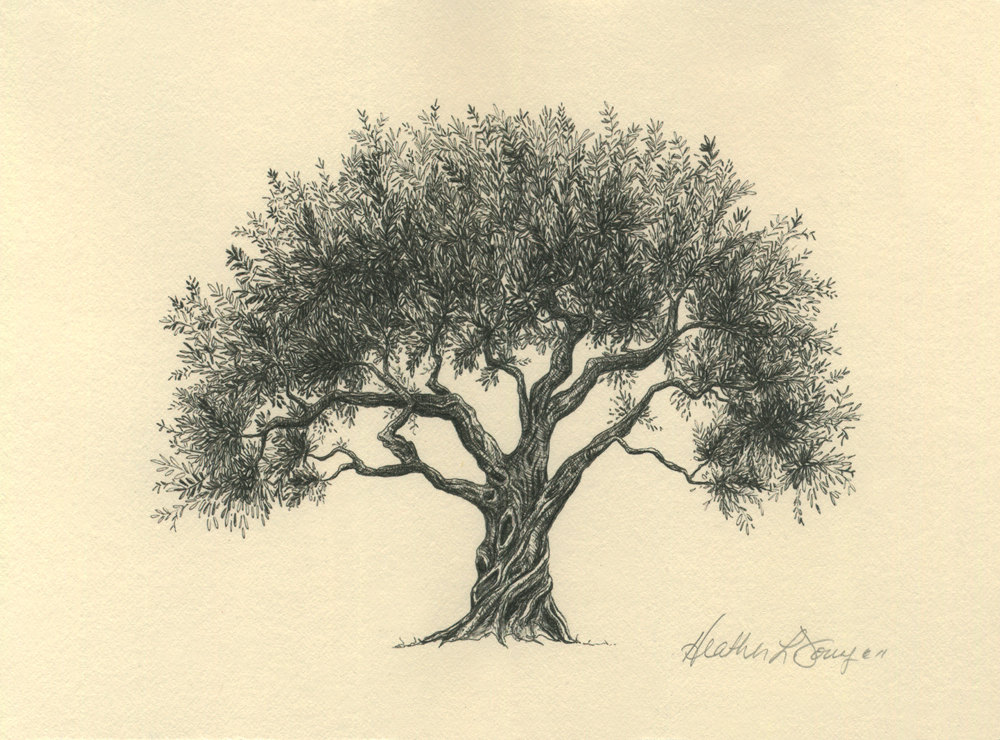 Pen And Ink Tree Drawing At Getdrawings Free Download 8096