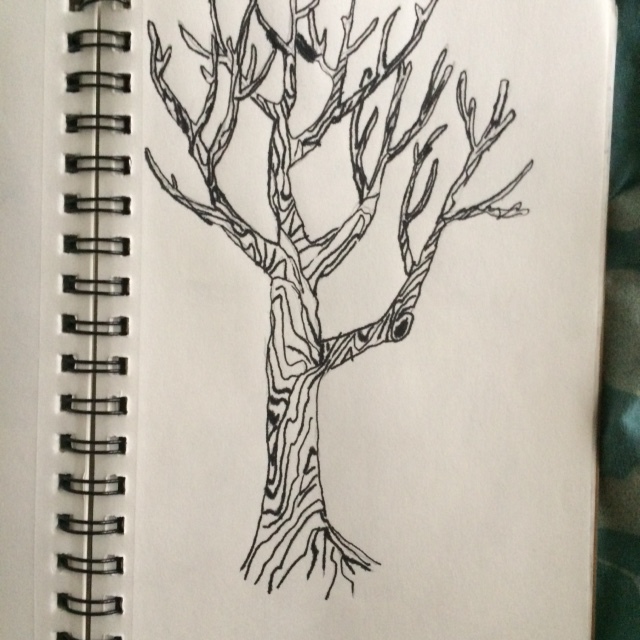 640x640 Pen And Ink Tree Drawing By Rogo2002