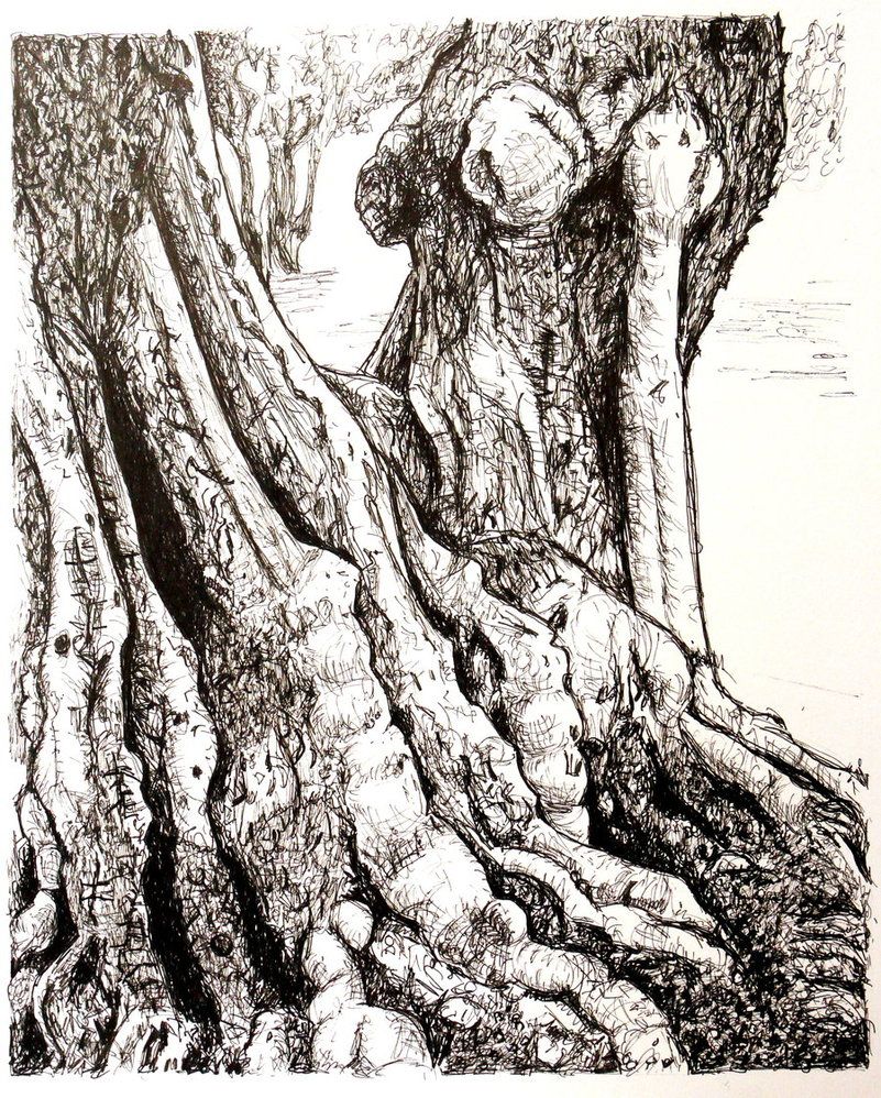 801x998 Tree Pen And Ink By Christinaprice Pen Amp Ink