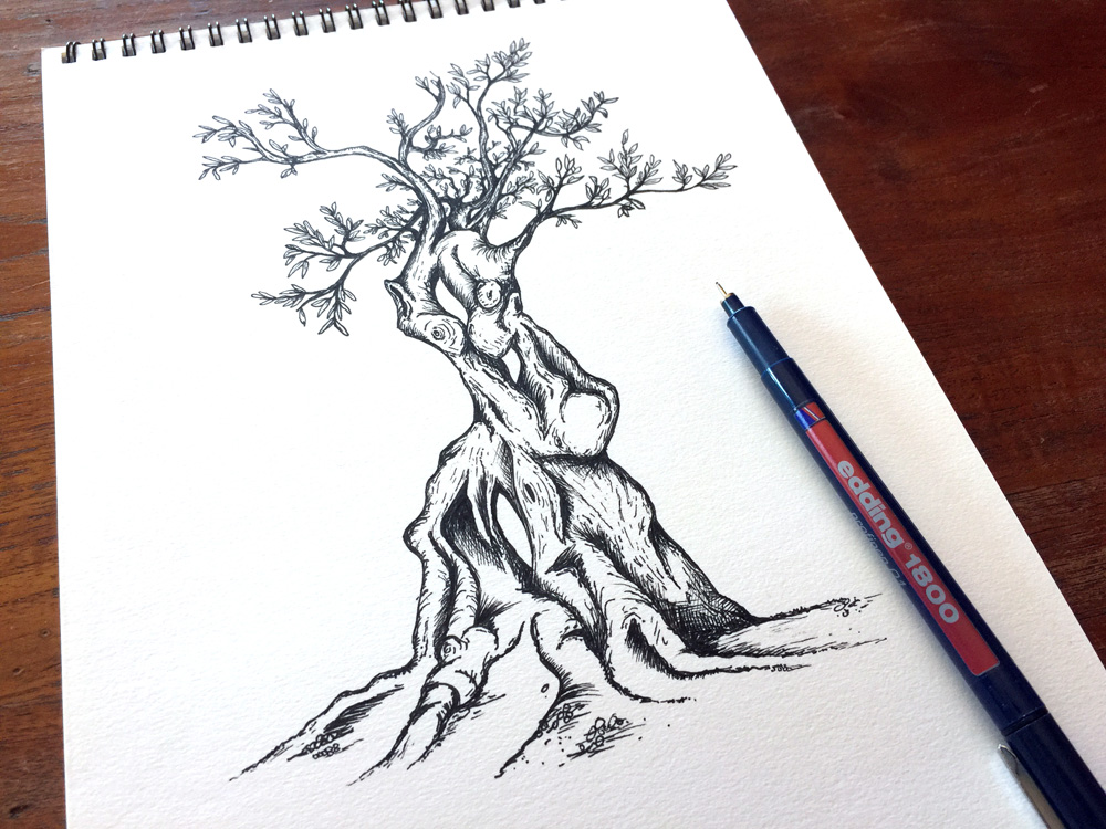 1000x750 Olive Tree Sketch Pen Drawing Tidy Design Blog