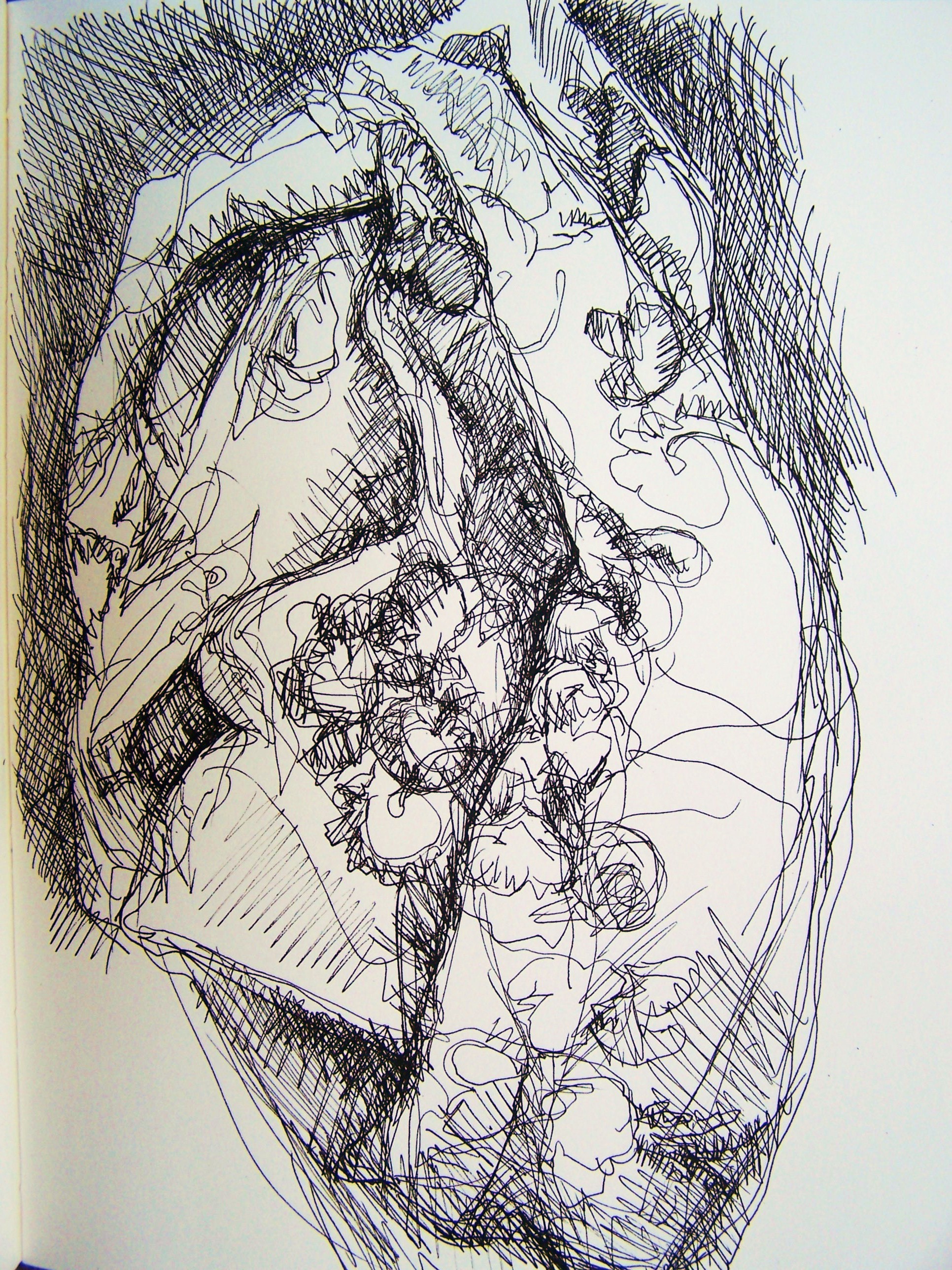 1932x2576 Pen And Ink Aletha Kuschan's Weblog