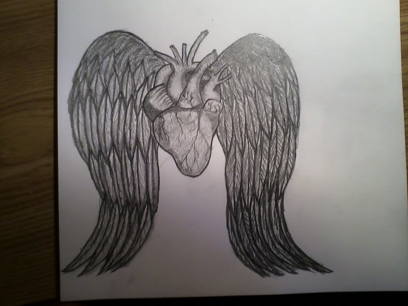 800x600 Heart With Angel Wings Pencil Drawing By Mychalc