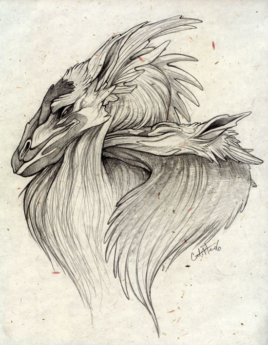 550x708 Pencil Dragons By Caramitten