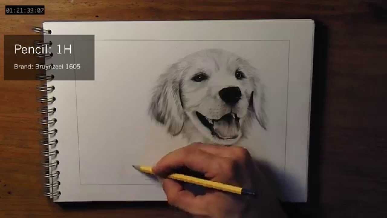 1280x720 How To Draw Dog Fur