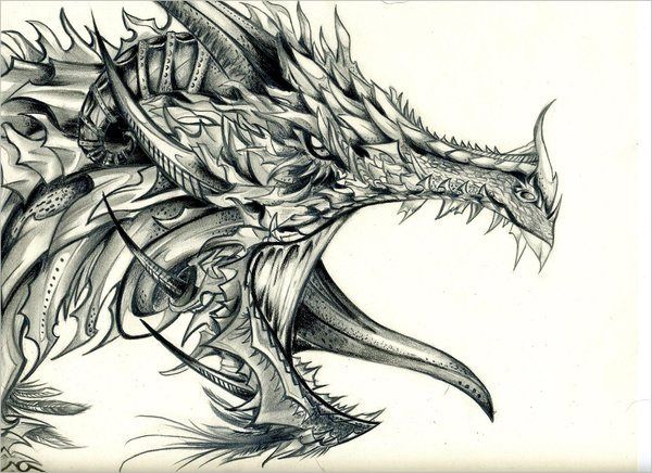 600x436 Pin By Elizabeth Thomas On Dragons Realistic Dragon