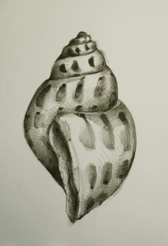 570x835 This Is An Original Pencil Drawing On Acid Free Paper Canson 200gr