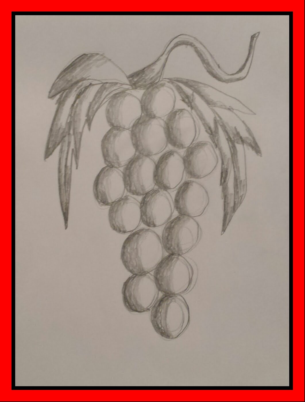 Pencil Drawing Grapes at GetDrawings | Free download