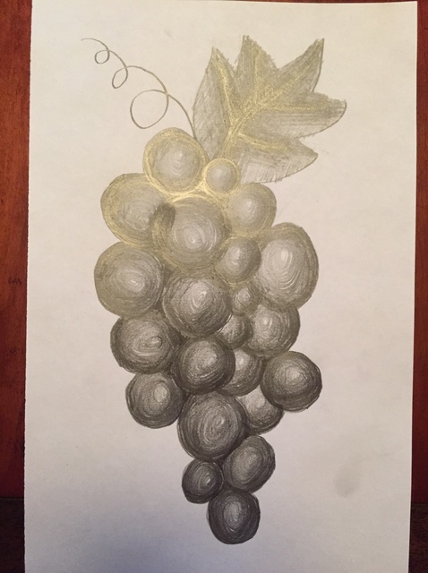 Pencil Drawing Grapes at GetDrawings | Free download