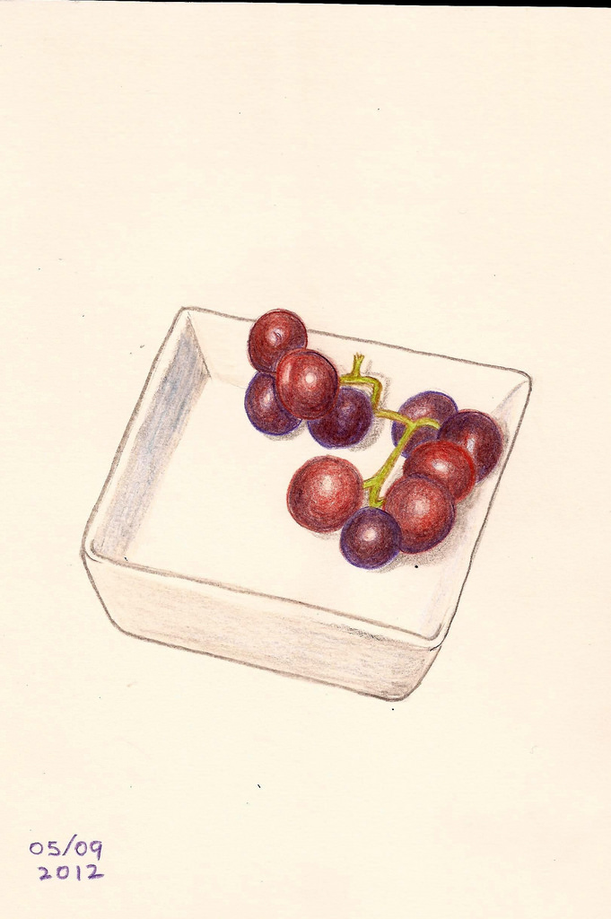 681x1024 The World's Best Photos Of Grapes And Pencil