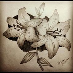 236x236 Pencil Sketches Of Flowers Flower Drawing