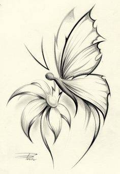236x340 Original Design Of A Large Butterfly Things I Like