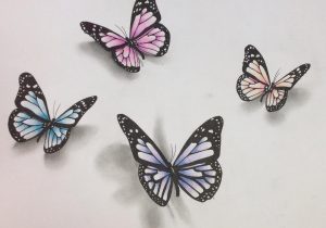 300x210 Pencil Sketch Of Butterfly How To Draw A Butterfly For Kids