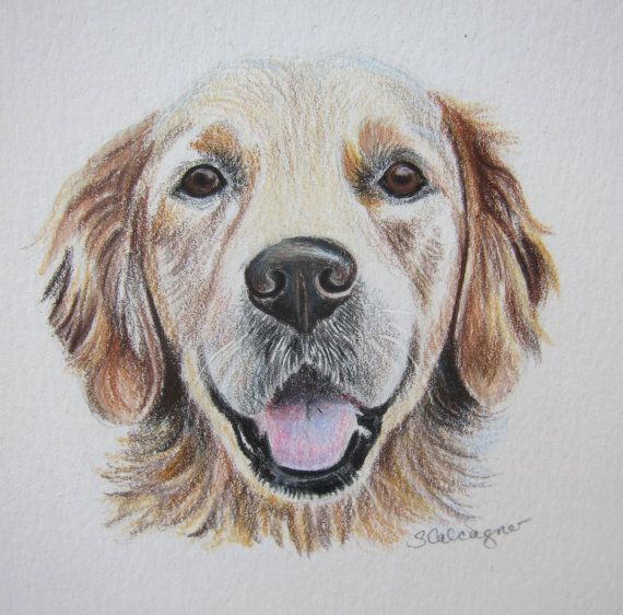 570x562 16 Best Colored And Graphite Pencil Dog Drawings Images