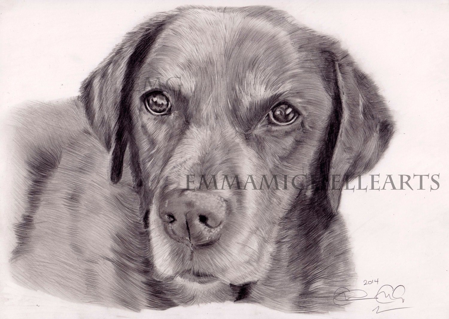 1500x1068 Drawing By Emma Michelle Arts 2014