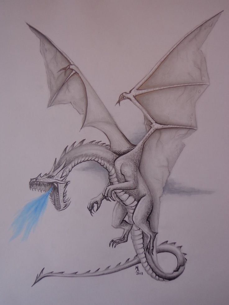 736x981 Gallery How To Draw A Realistic Dragon,