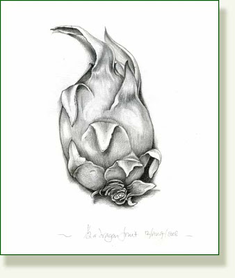 338x400 Pencil And Leaf Leaf Of The Day Dragon Fruit