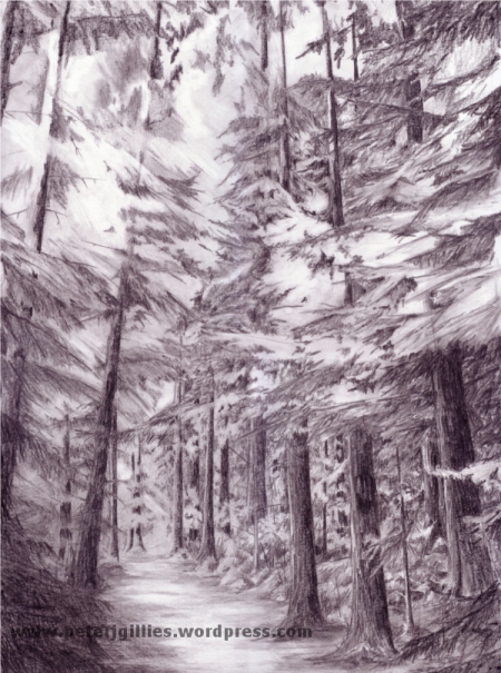 450x605 Pencil Drawing Of The Inverfarigaig Forest, Scotland Http