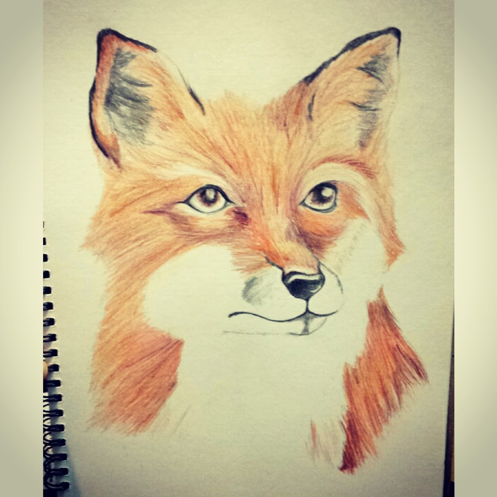 1024x1024 Coloured Pencil Fox Drawing
