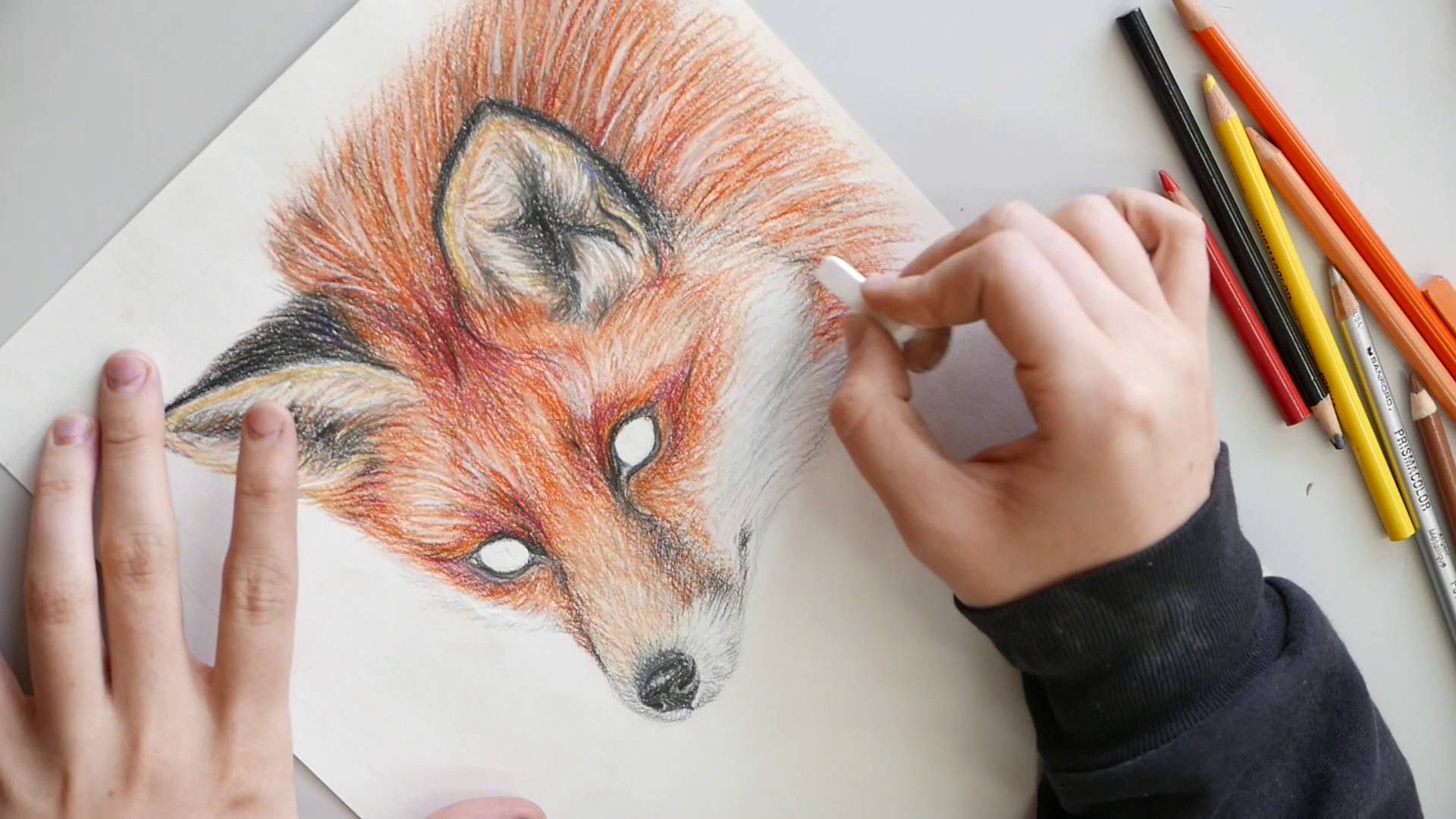 1920x1080 Red Fox Colored Pencil Drawing