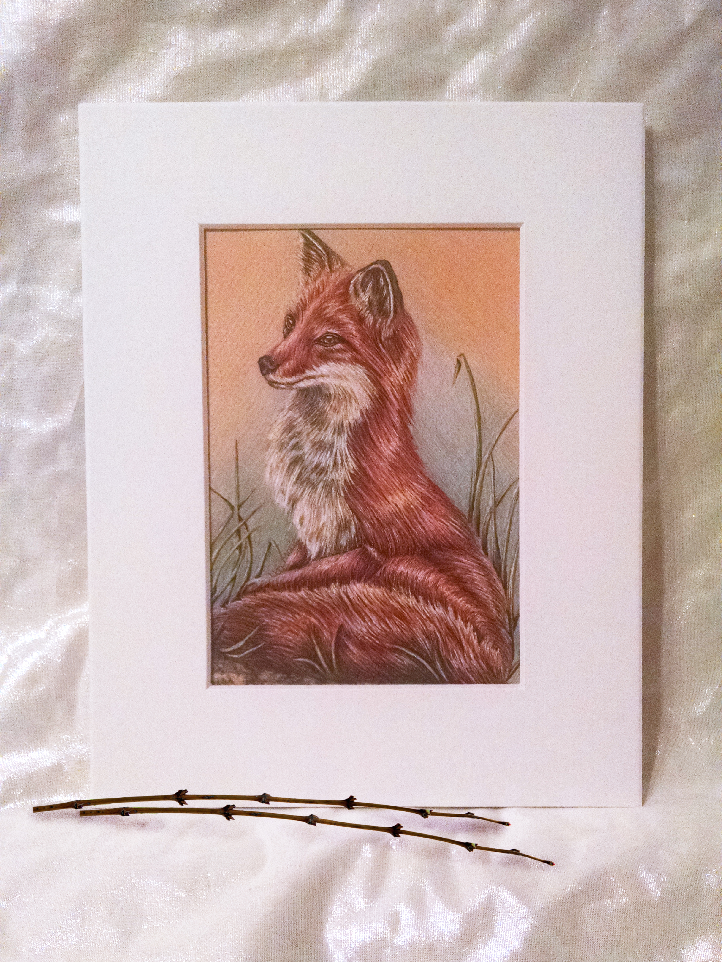 2432x3240 Red Fox Colored Pencil Drawing Pet Portraits, Family