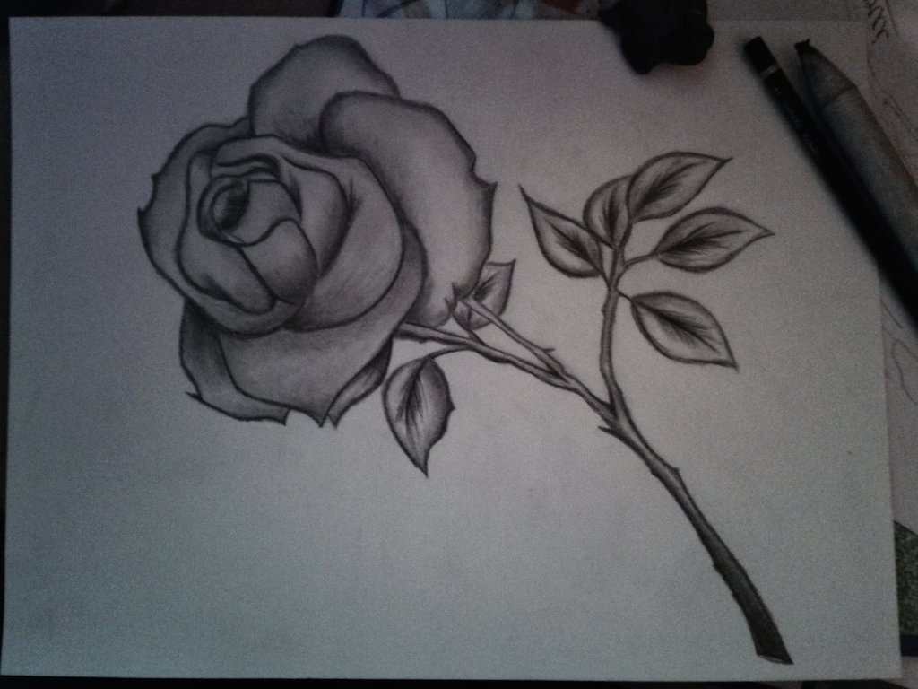 1024x768 Pencil Drawing Sketches Of Flowers Pencil Art Flowers Pencil