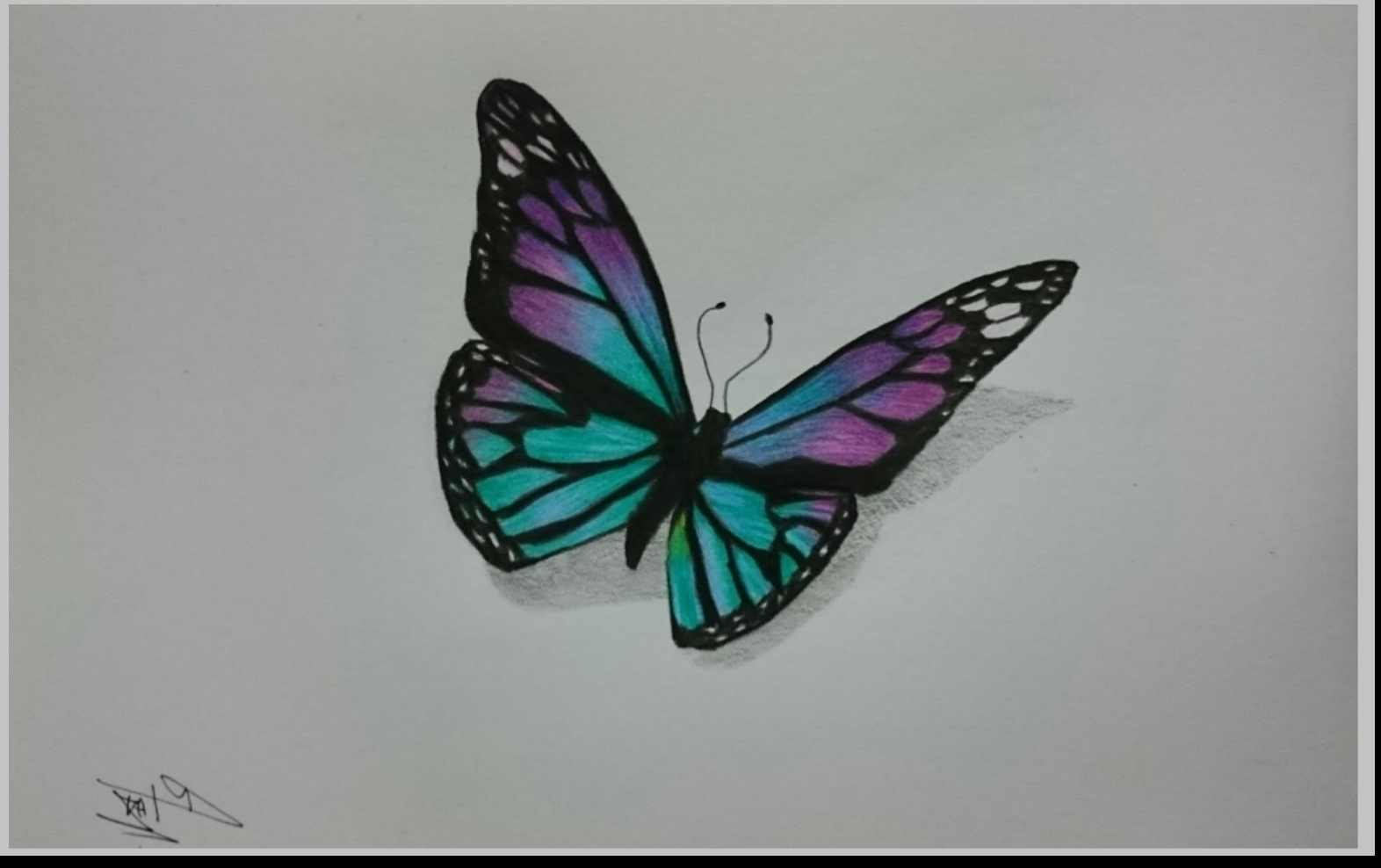 Pencil Drawing Of Butterflies at GetDrawings | Free download