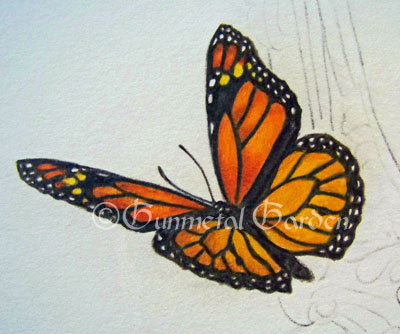 400x334 Drawn Butterfly Colour Pencil