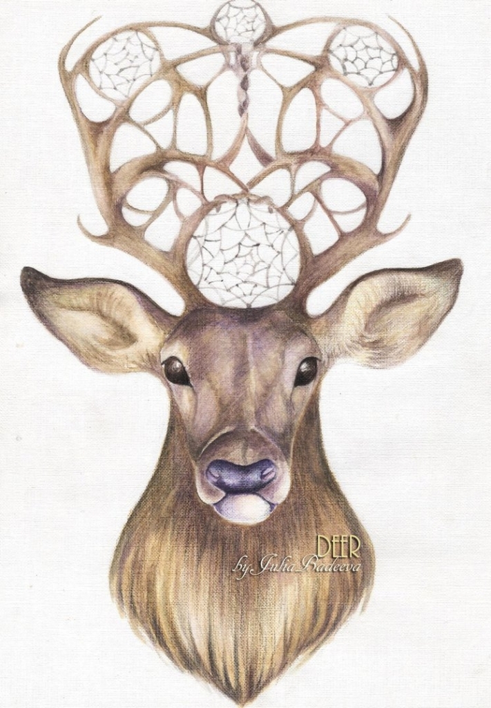 711x1024 Pencil Drawings Of Deer Deer Pencil Drawing Juliabadeeva