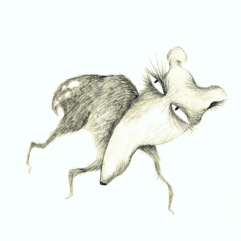 800x800 Pencil Drawings