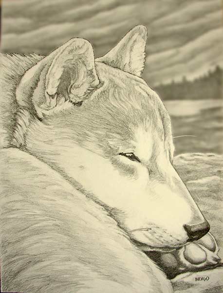 458x600 Sketches Amp Pencil Drawings Landscapes Sketches Portraits Wildlife