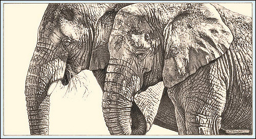 500x273 Trunks And Texture'