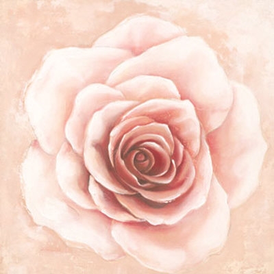 400x400 Rose Pencil Drawings, Rose Drawings, Drawing Of A Rose
