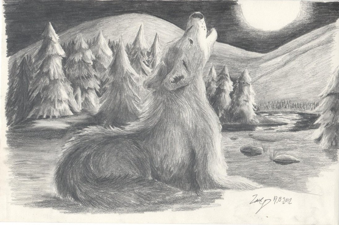 1096x728 Drawing Of A Wolf Howling At The Moon Pencil Sketches Of Wolves