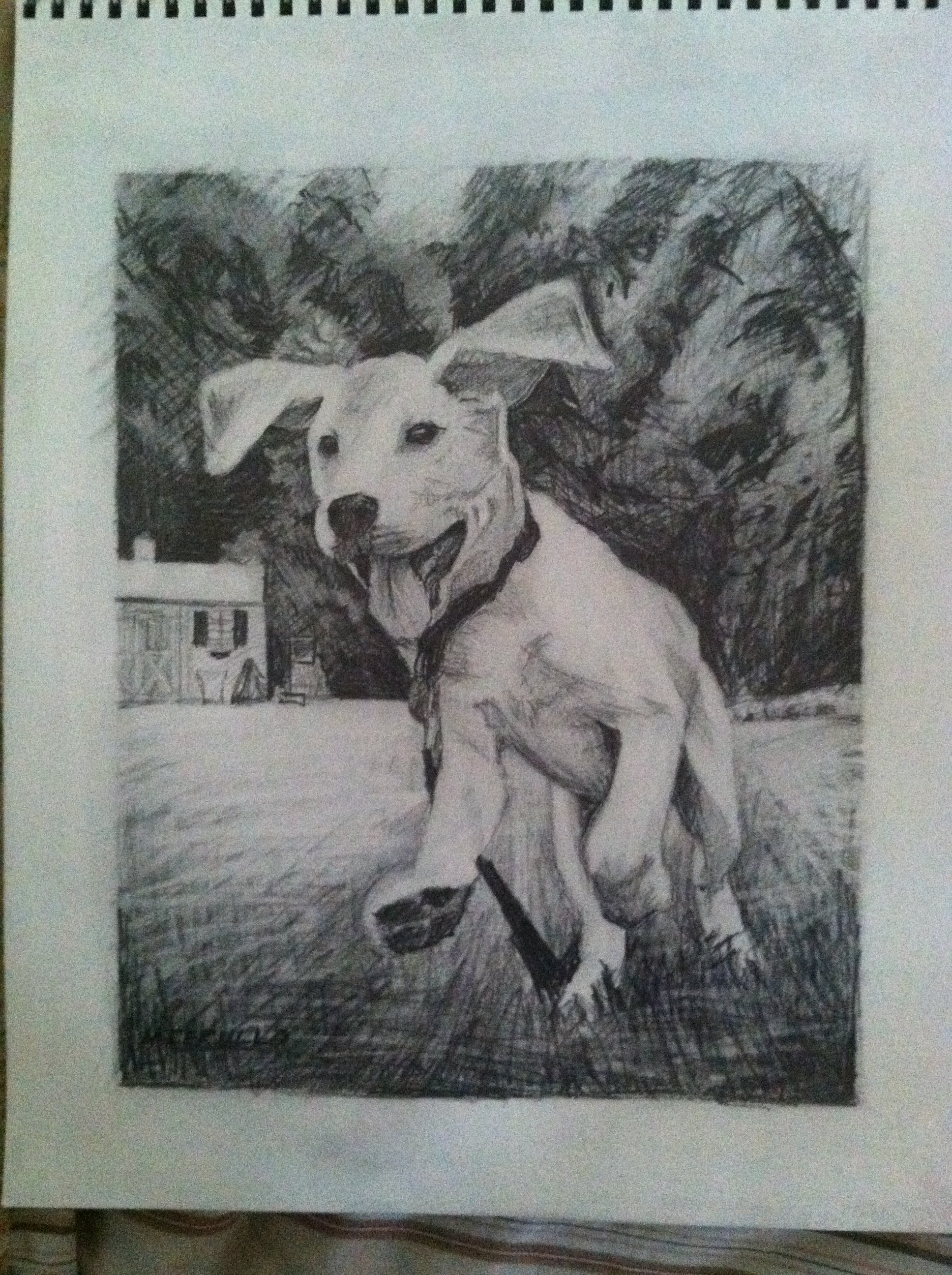 1936x2592 Pencil Drawing. The Full Moon