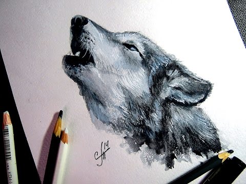 480x360 Picture Wolf ( Pencil, Aquarelle ) Speed Drawing