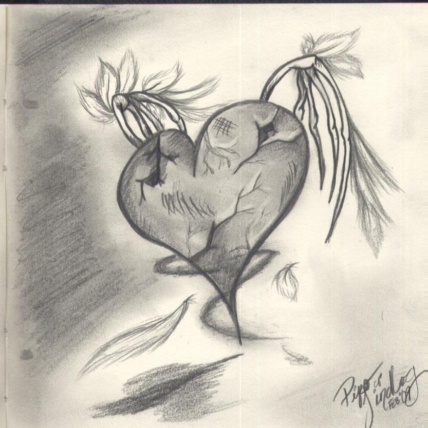 879x878 Pencil Drawings Heart Drawings In Pencil