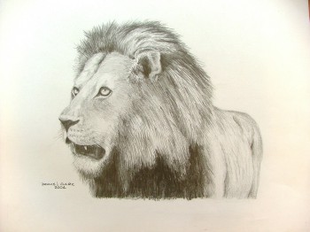 350x262 How To Draw A Lion In Pencil. Drawing, Pencil, Paper, Art, Lesson