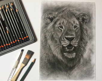 340x270 Lion Pencil Drawing Etsy