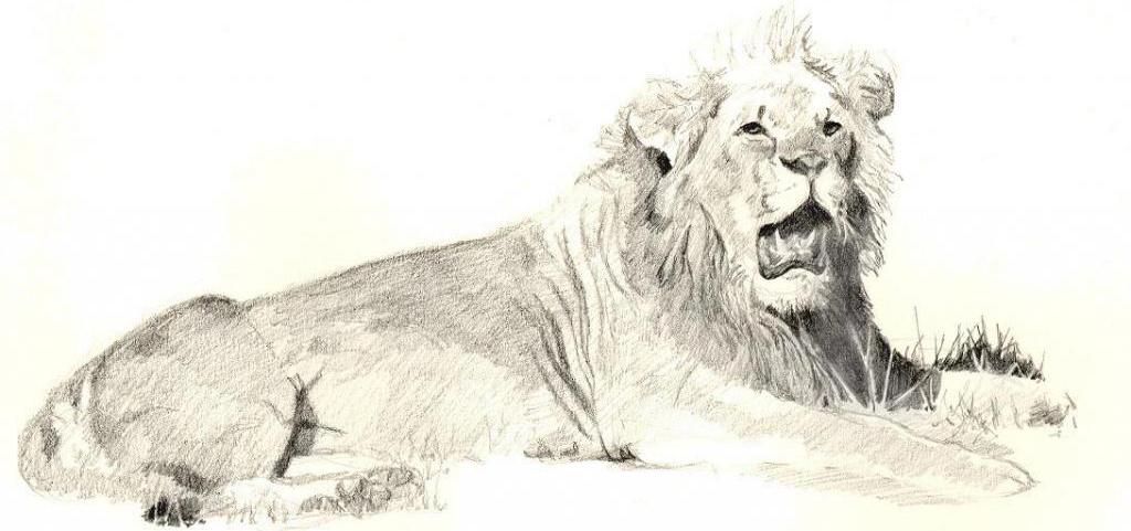 1024x481 No Lion Dies Keith Andrew Mcallister Wildlife Artist